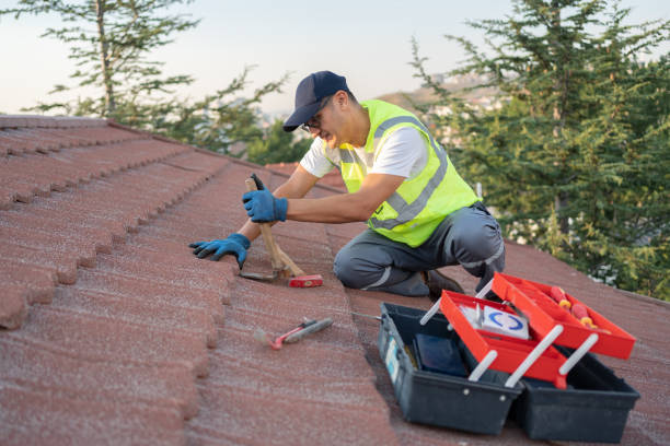 Best Roof Maintenance Services  in Fortuna Foothills, AZ