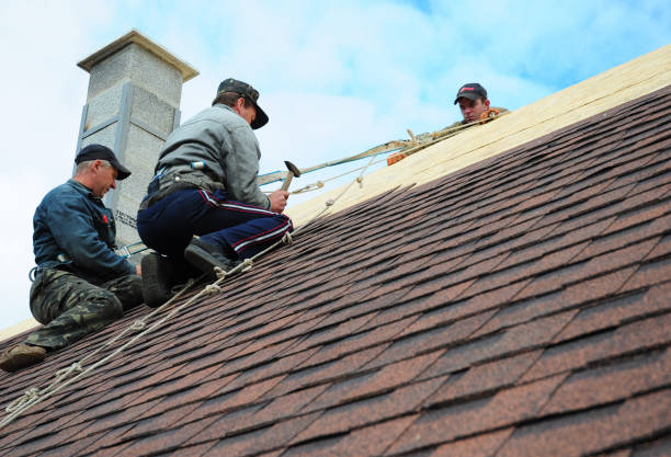 Professional Roofing Contractor in Fortuna Foothills, AZ
